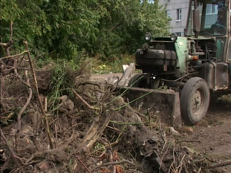 Бдительность – не всегда благо…