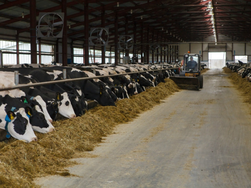 «В недалеком будущем Россия сможет кормить весь мир!», - Бьерн Конор