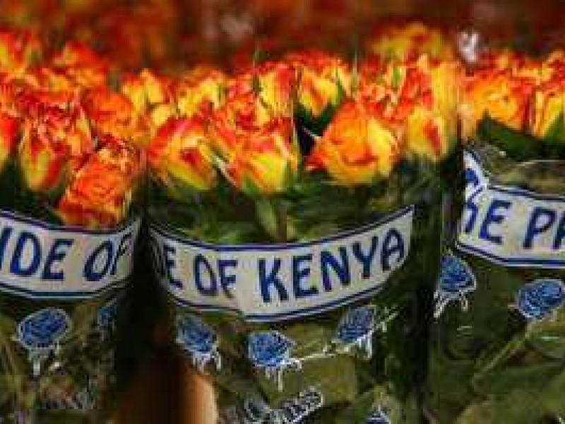 В аэропорту Кольцово уничтожено 670 цветов роз и гербер