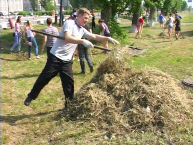 Актуально. Трудовые отряды