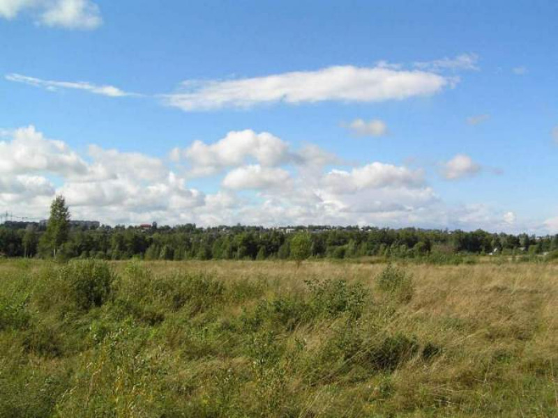 Денис Паслер вручил многодетным семьям Ирбита сертификаты на бесплатные земельные участки