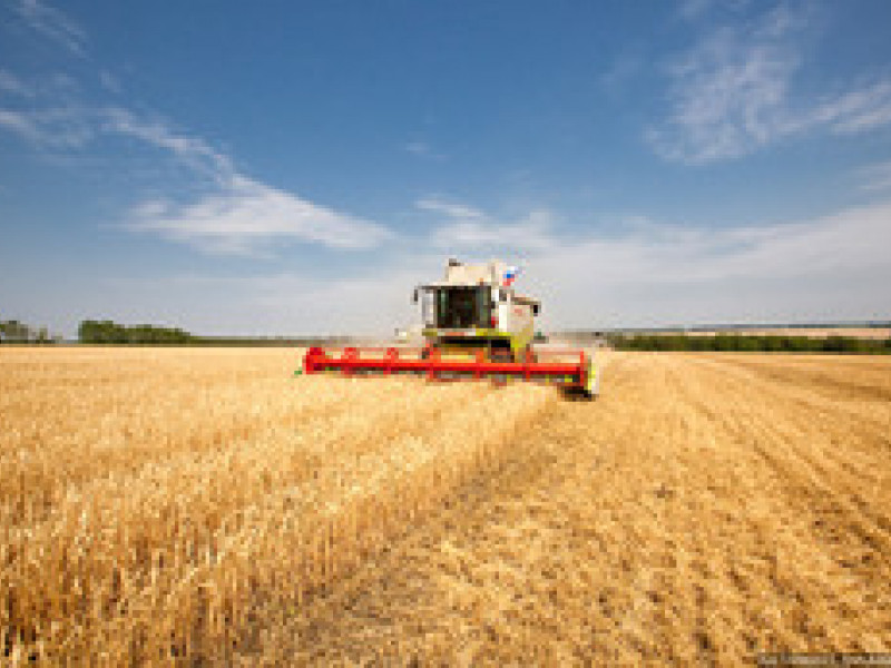 Свердловское правительство намеренно выкупить у аграриев урожай, пока его не перекупили другие регионы