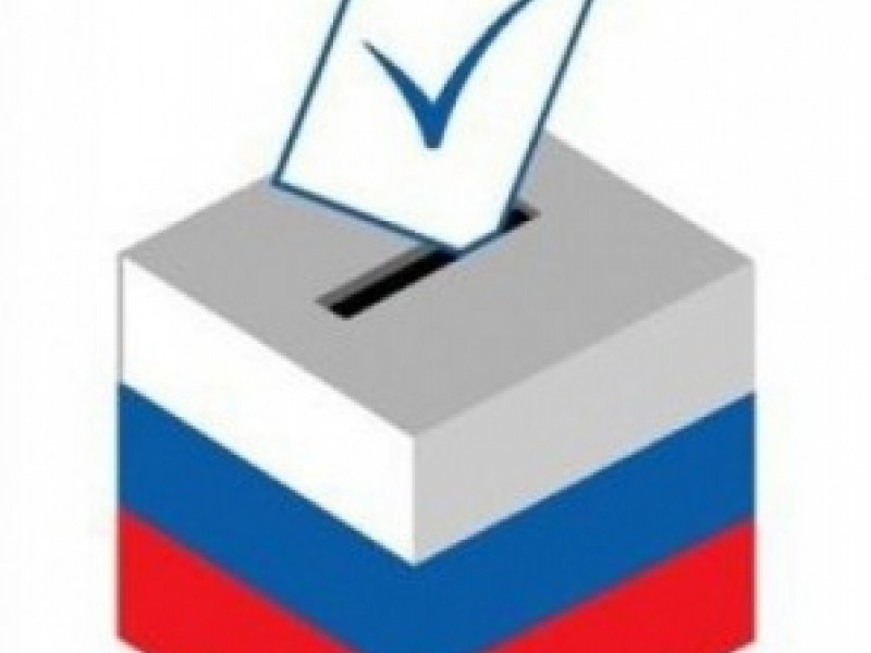 Результаты выборов главы Муниципального образования  город Ирбит