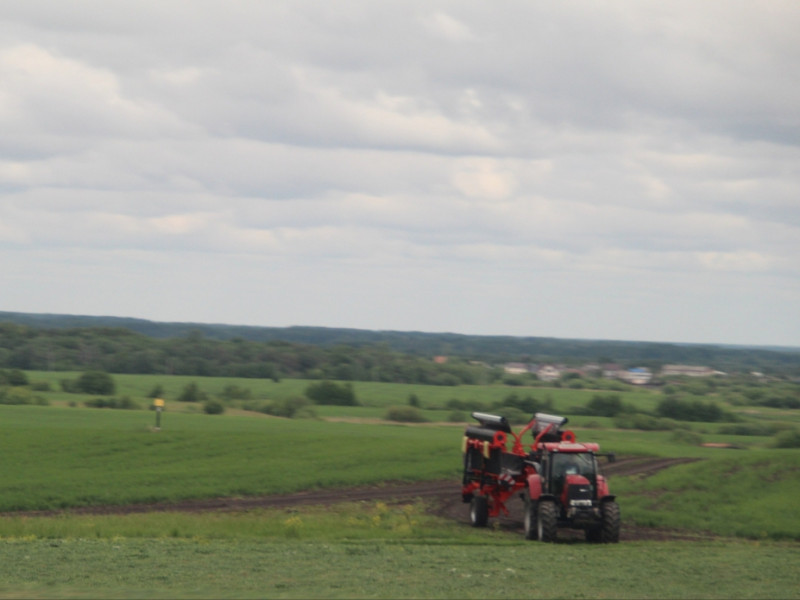 заготовка кормов