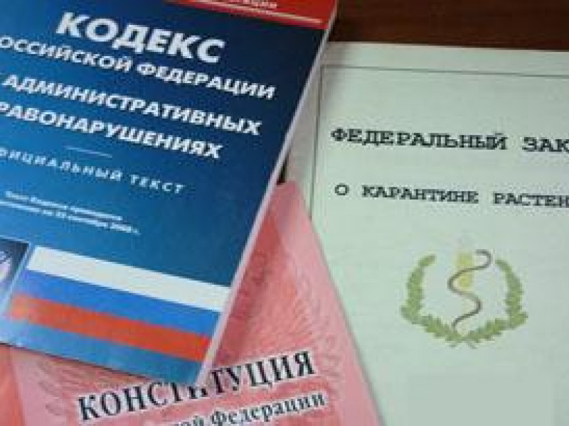 Выявлено нарушение порядка ввоза подкарантинной продукции