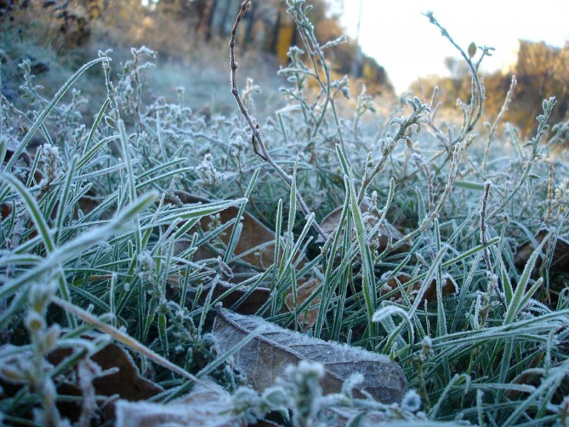 Внимание! Синоптики предупреждают о надвигающихся заморозках