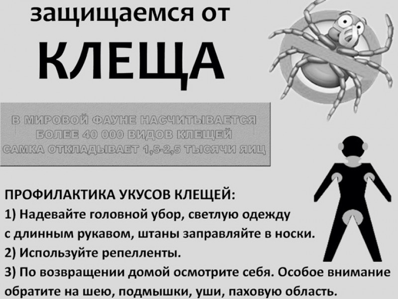 Внимание: опасная зона – Бугры и сады за Грязнушкой