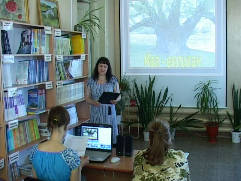 Фильм о садовнике