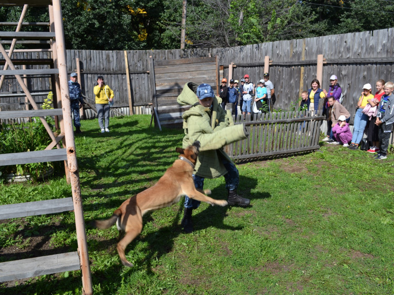 Сотрудники ирбитского СИЗО-2 показали школьникам работу кинологов
