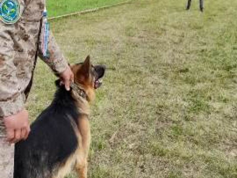 Кинологи ирбитского СИЗО-2 продемонстрировали рабочей молодежи выучку своих питомцев