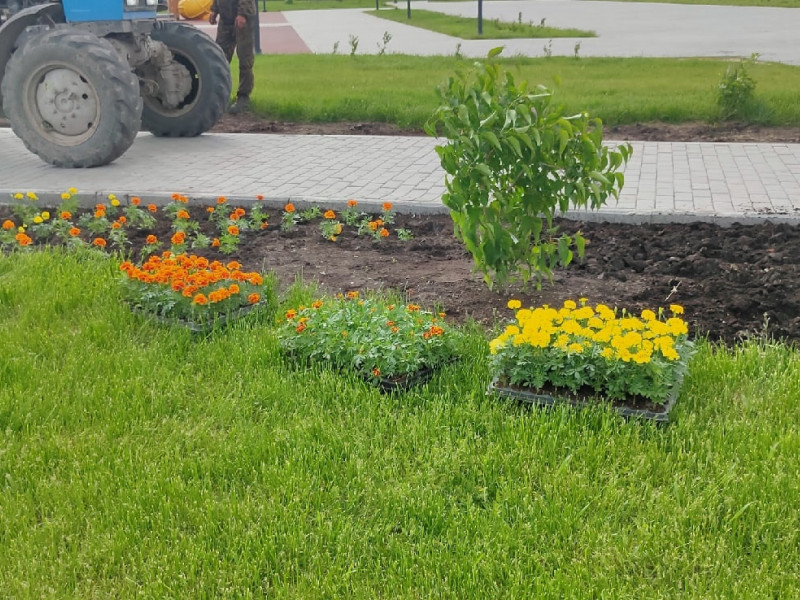 47 000 цветов будет высажено на общественных территориях города Ирбита