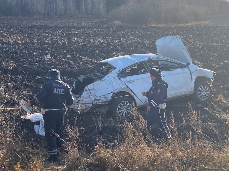 В Ирбите водитель автомобиля врезался в дерево и скончался в реанимации