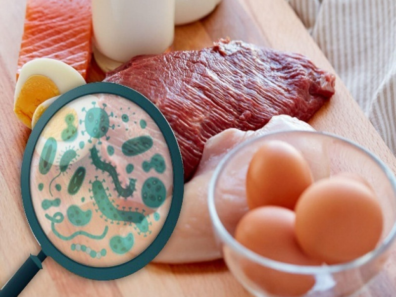 Сальмонеллез и его профилактика