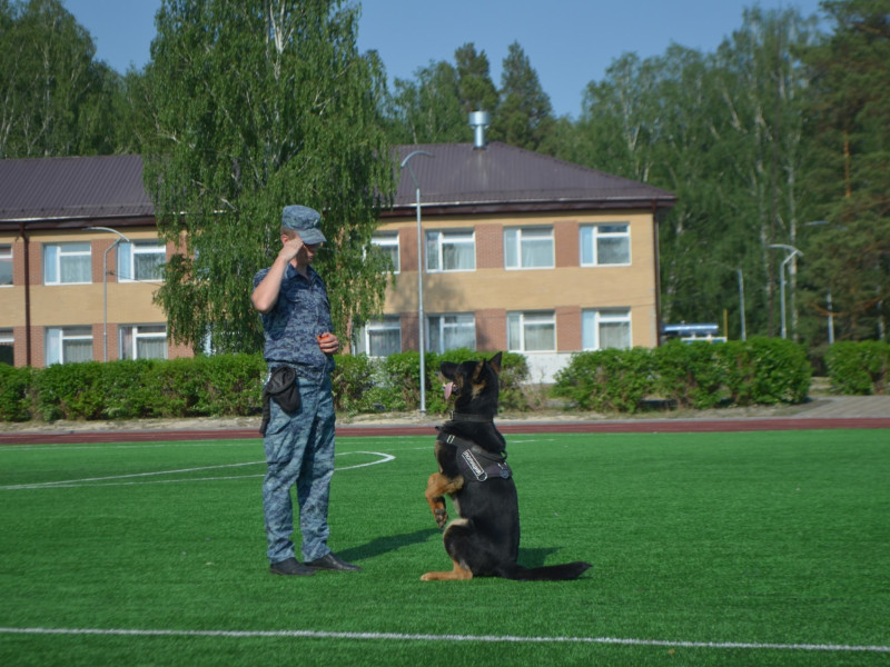 Ирбитские полицейские посетили детей, отдыхающих на первой смене в загородном лагере «Салют»