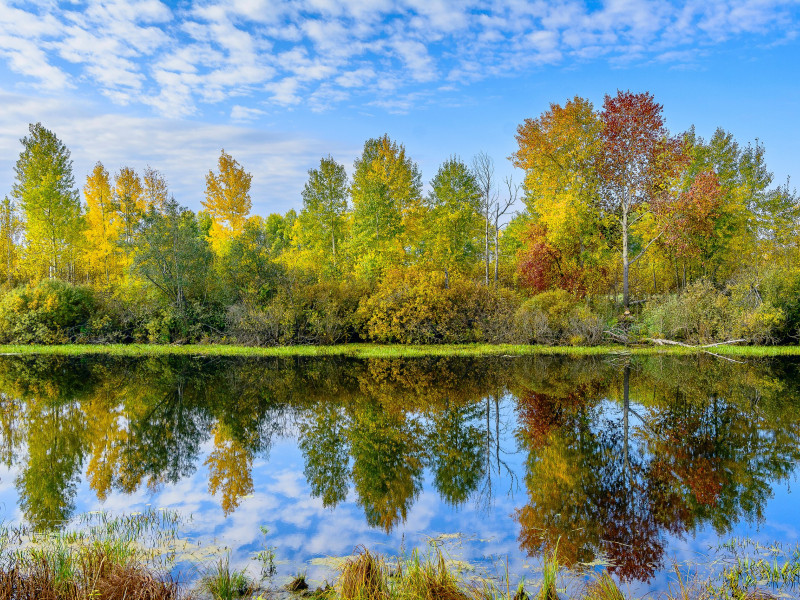 Итоги фотоконкурса «Природа и человек»