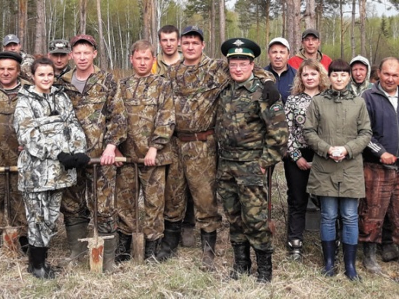 Мир стал зеленее