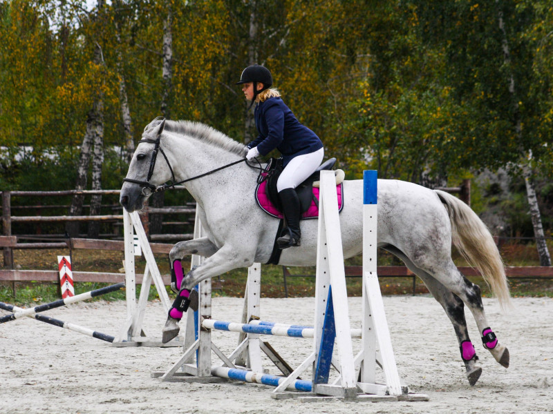 Ирбитчанка заняла 1-е и 3-е места на Открытом первенстве по конкуру