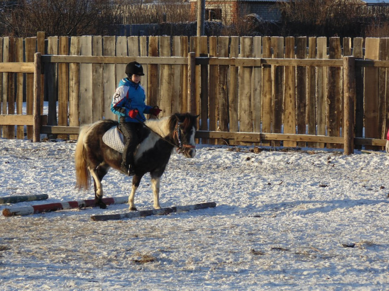 Рождественские старты