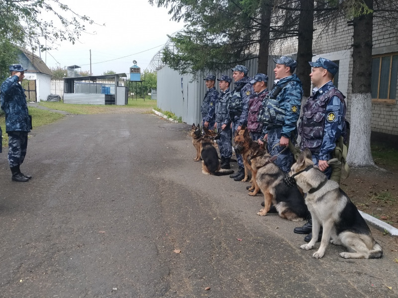 Учебно-методические сборы кинологов начались в ИК-47