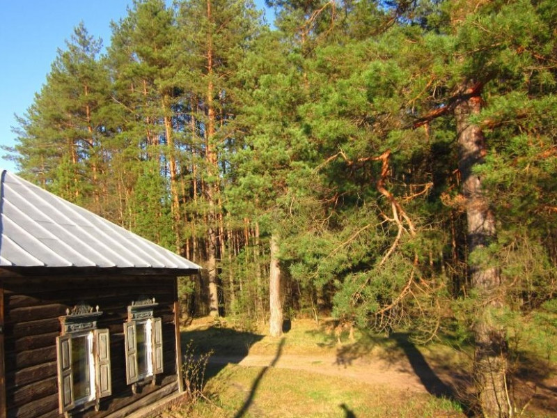 Частные дома возле леса