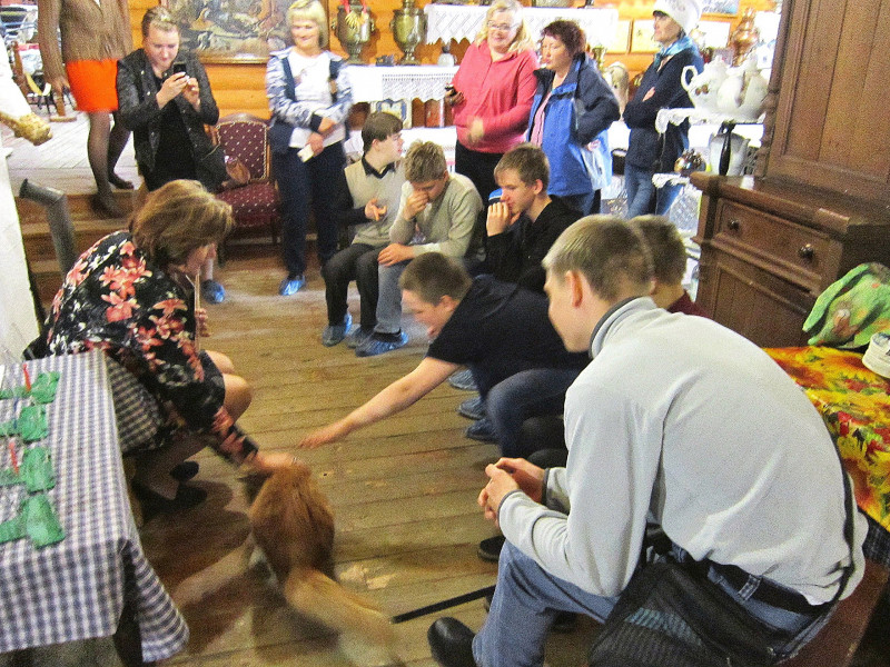 Русская печка – всему дому кормилица