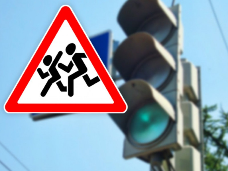 Профилактическое мероприятие "Безопасная дорога»