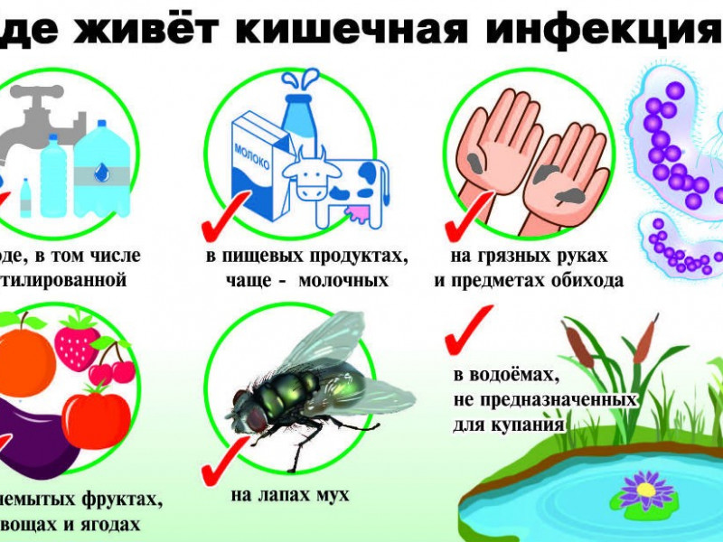 Профилактика острой кишечной инфекции