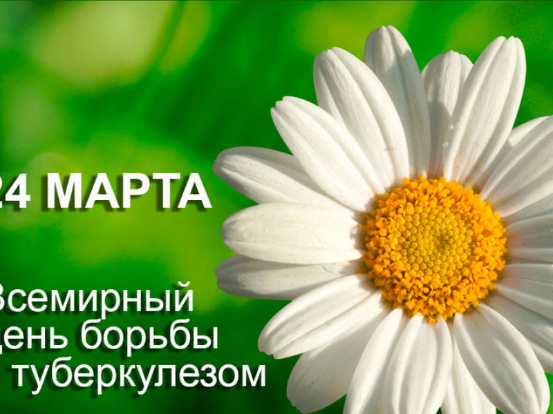 Что нужно знать о туберкулезе?