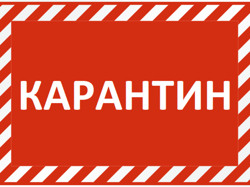 Внимание! КАРАНТИН